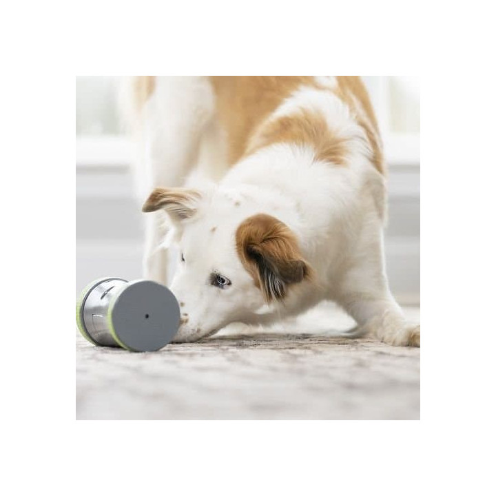 PetSafe® Kibble Chase™ Elektronická hračka pro psy