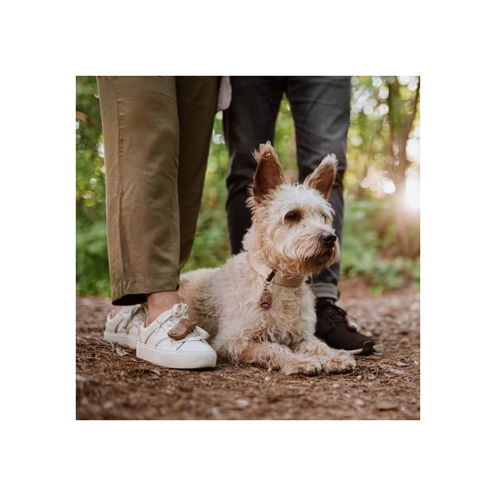 TICKLESS ECOPET Ultrazvukový odpuzovač klíšťat a blech pro psy Hnědá
