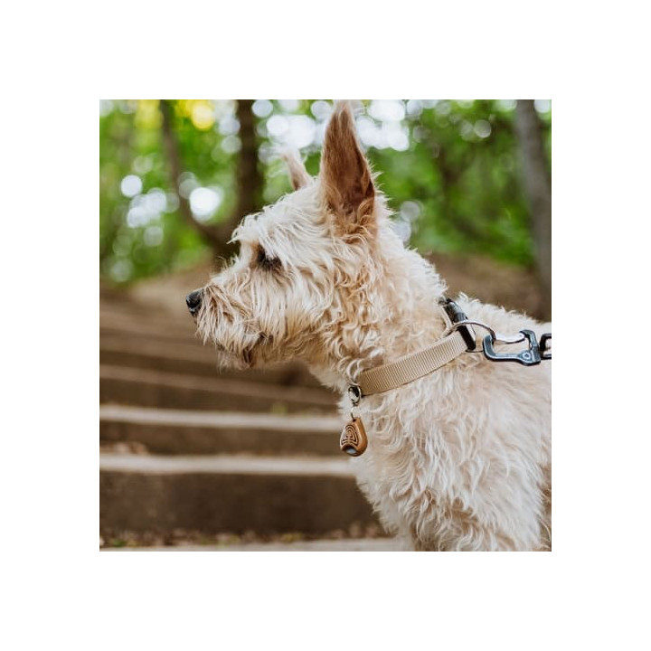 TICKLESS ECOPET Ultrazvukový odpuzovač klíšťat a blech pro psy Hnědá