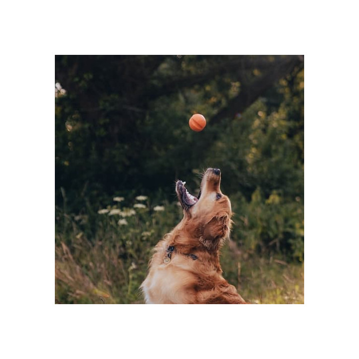 Beco Fetch Ball Hračka pro psy oranžová 6,5cm