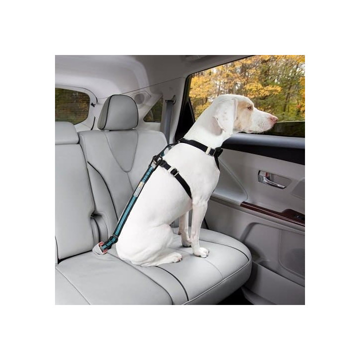 Kurgo® Bezpečnostní pás pro psa do auta Direct to Seatbelt Tether modrý