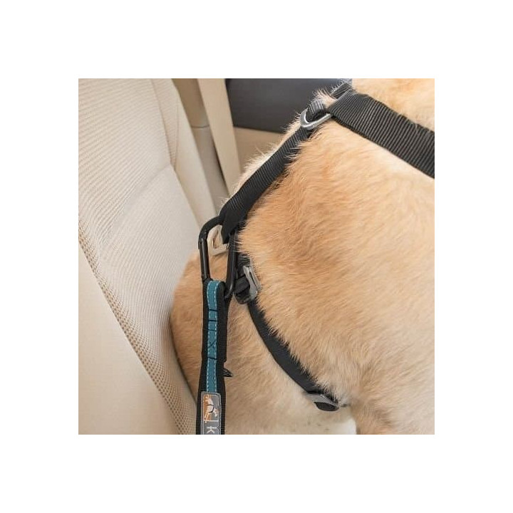 Kurgo® Bezpečnostní pás pro psa do auta Direct to Seatbelt Tether modrý