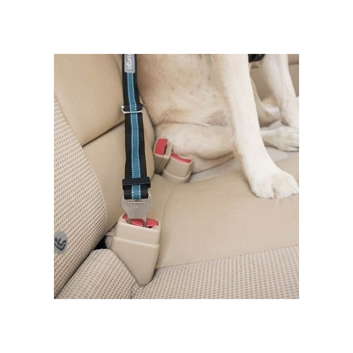 Kurgo® Bezpečnostní pás pro psa do auta Direct to Seatbelt Tether modrý