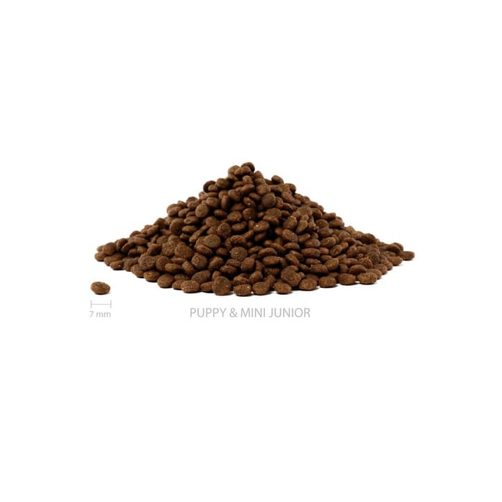 ALMI Puppy & Mini Junior 12kg
