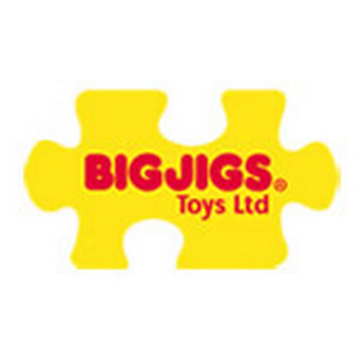 Bigjigs Baby Dřevěné Spojkostky - Primary set