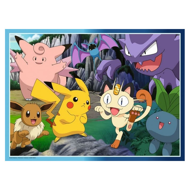 Svět Pokémonů 300 dílků