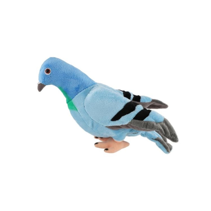 Holub plyš