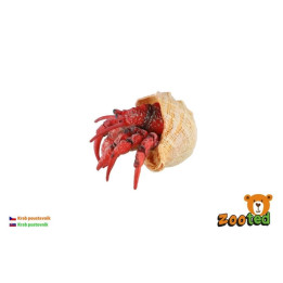 Krab poustevník zooted plast 7cm