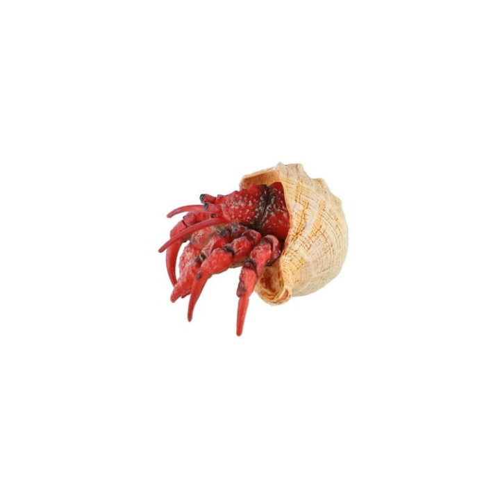 Krab poustevník zooted plast 7cm