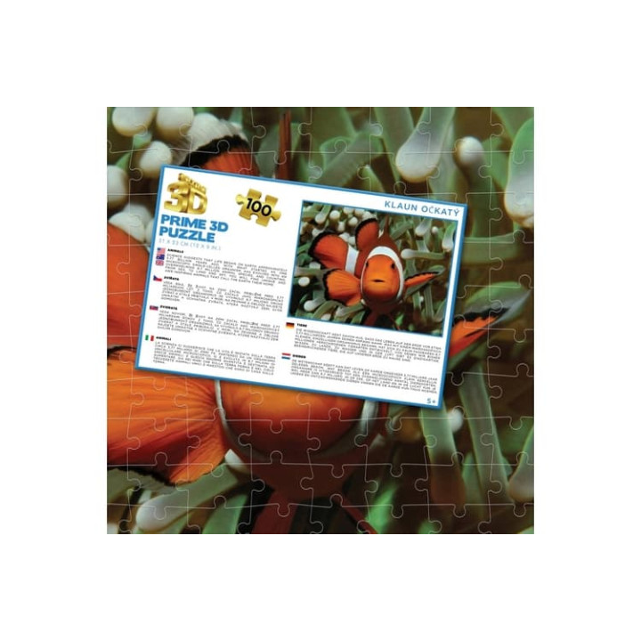 Puzzle 3D - Klaun očkatý