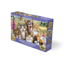 Puzzle 3D - Smějící se kočky