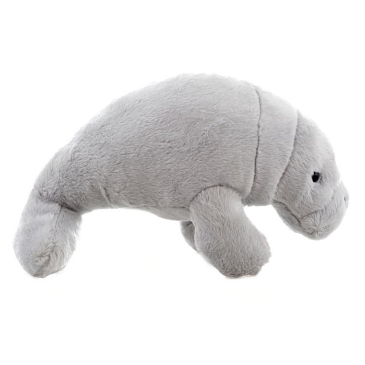 Kapustňák 22 cm