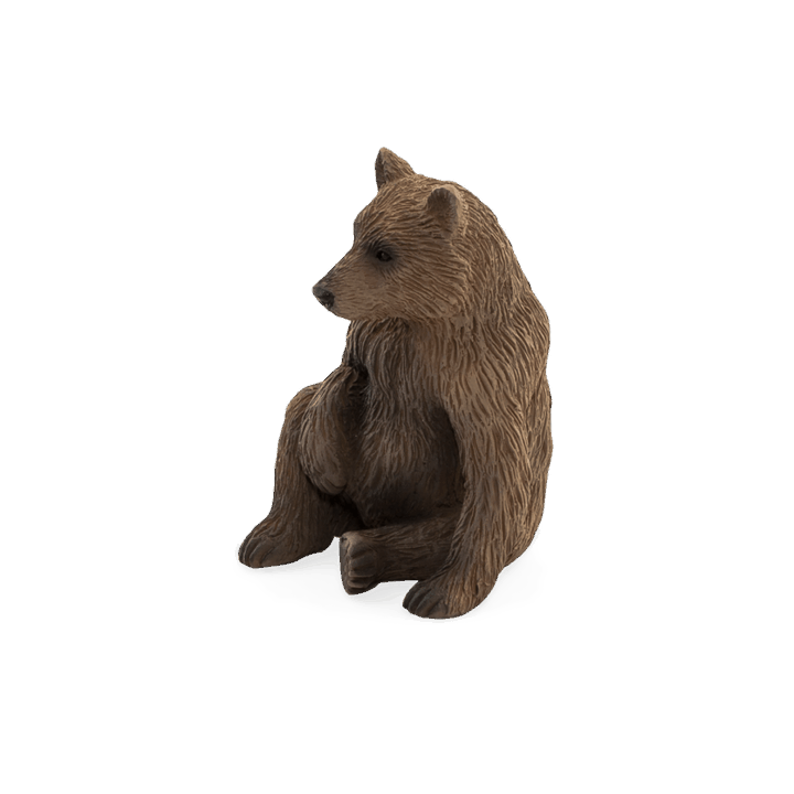 Mojo Medvěd grizzly mládě