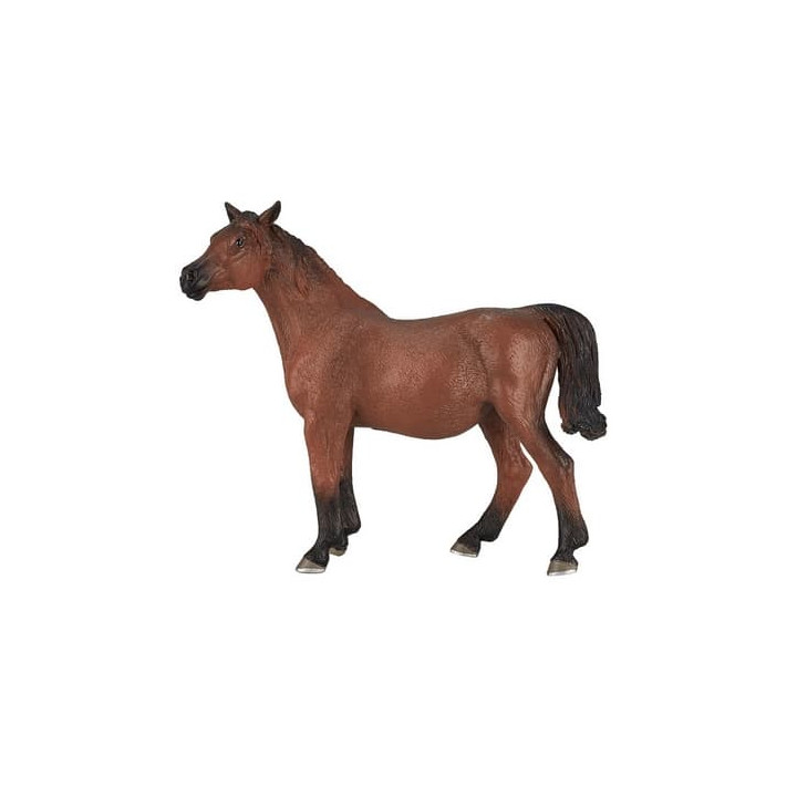 Mojo Arabská klisna březí