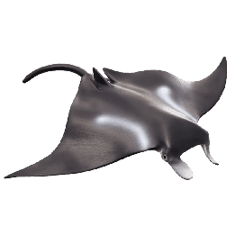 Mojo Rejnok manta