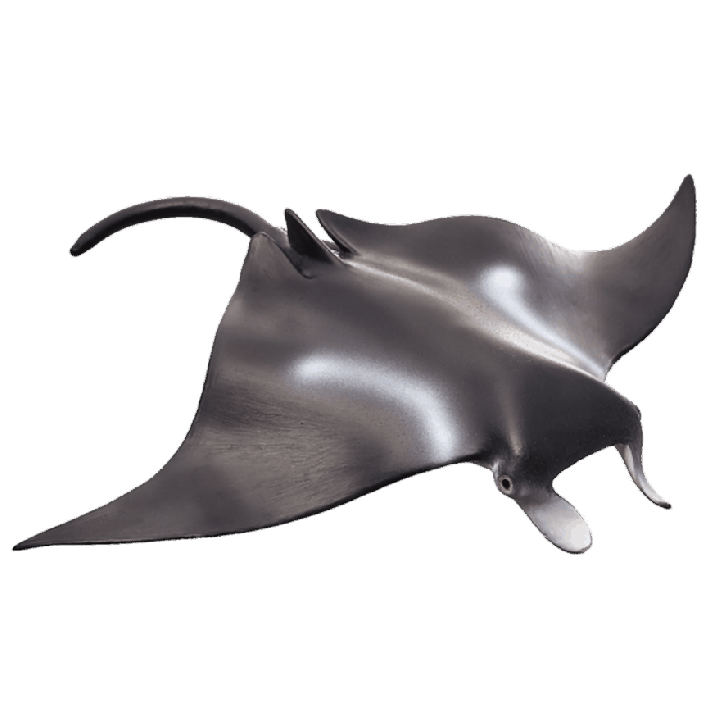 Mojo Rejnok manta