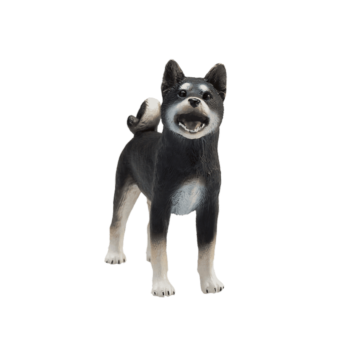 Mojo Pes shiba-inu černý