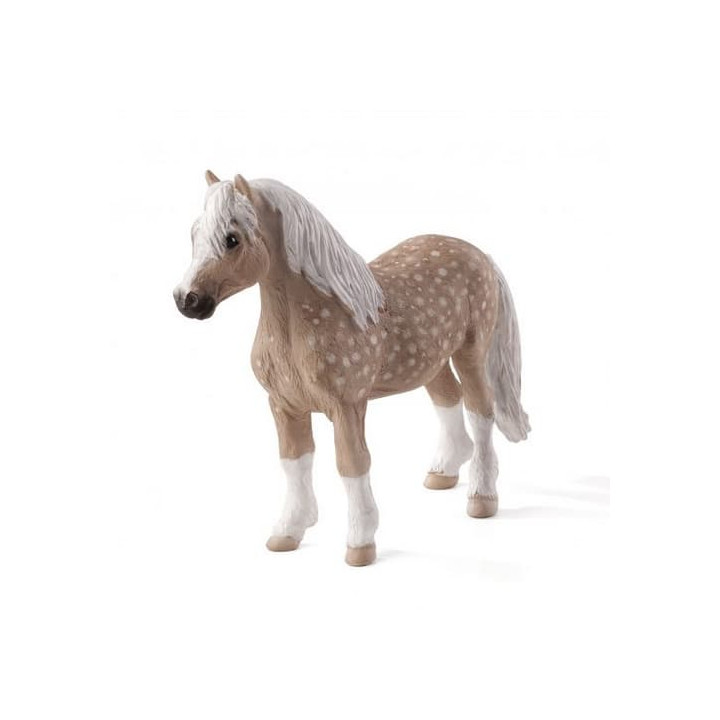 Mojo Velšský pony