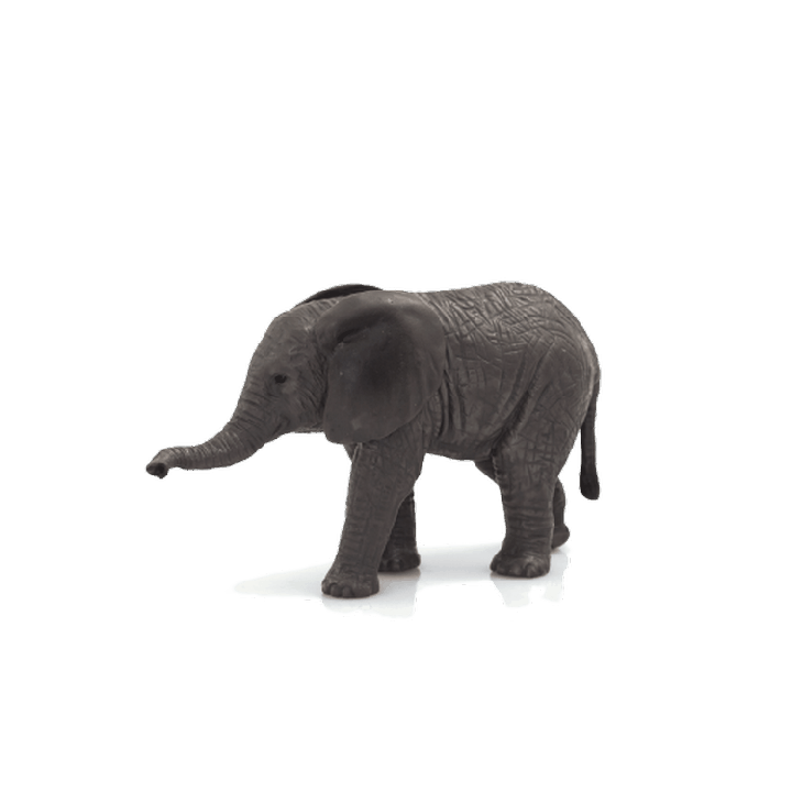 Mojo Slon africký slůně