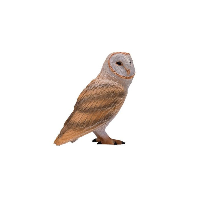 Mojo Sova pálená