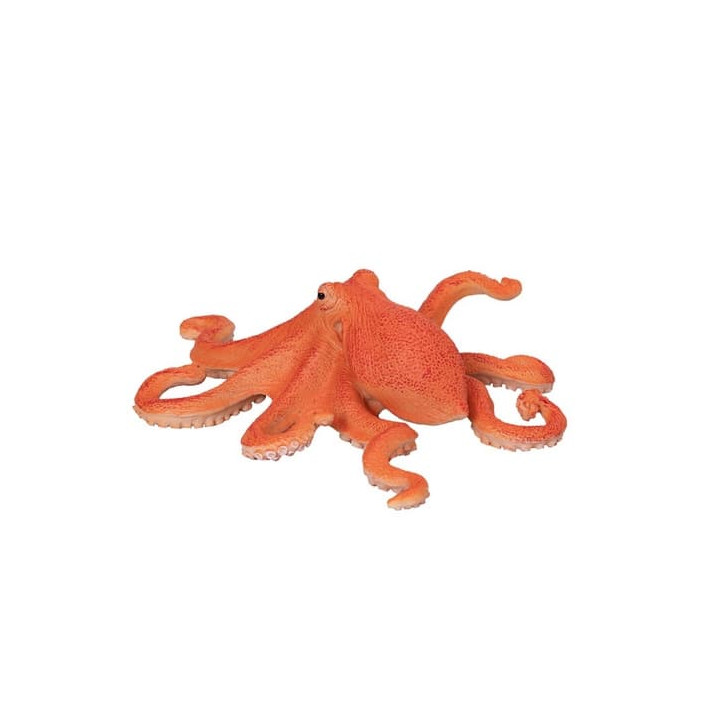 Mojo Chobotnice