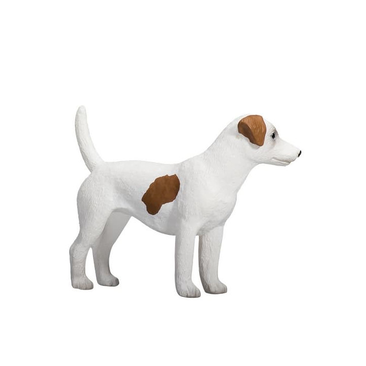 Mojo Jack Russell teriér
