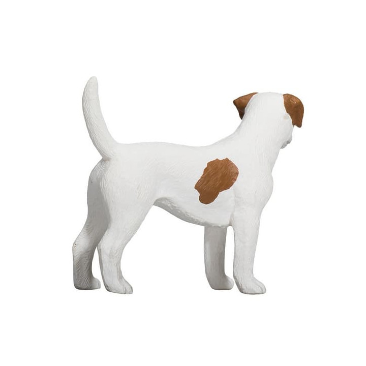 Mojo Jack Russell teriér