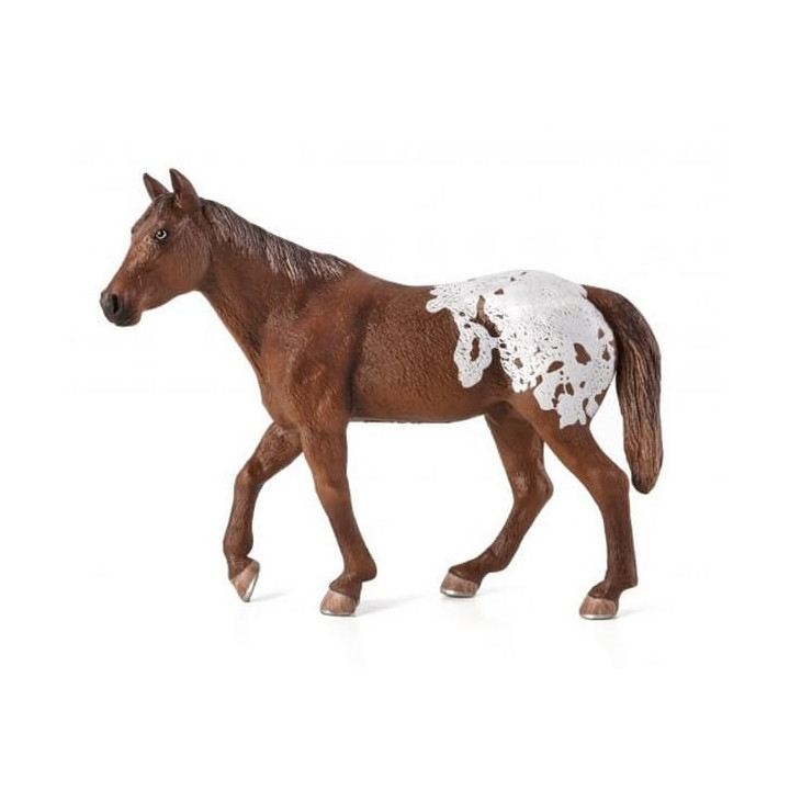 Mojo Appaloosa hřebec blanket