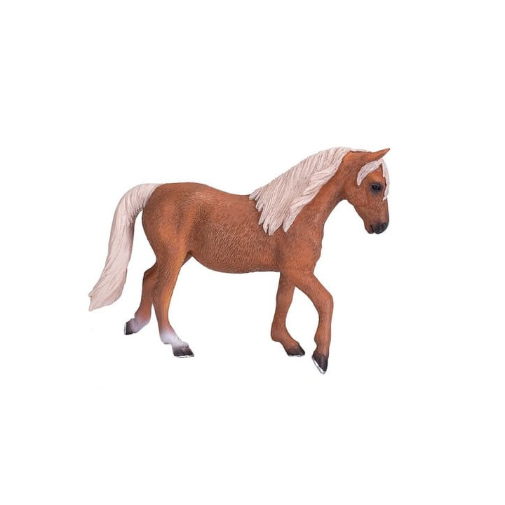 Mojo Kůň morgan palomino