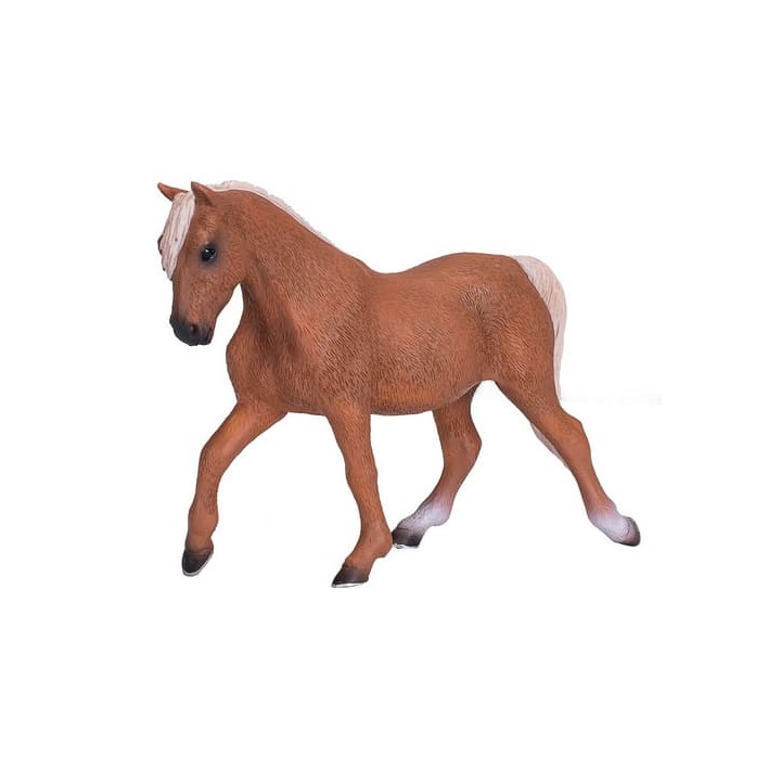 Mojo Kůň morgan palomino