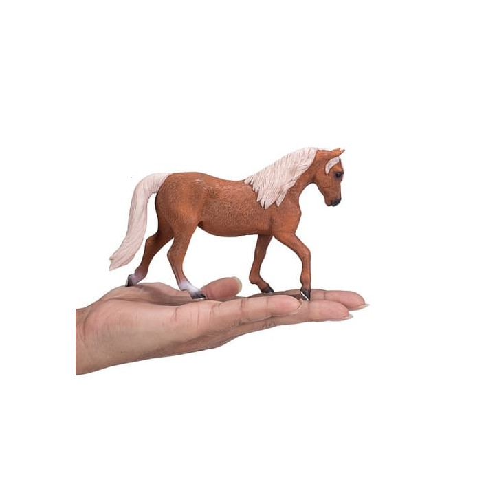 Mojo Kůň morgan palomino