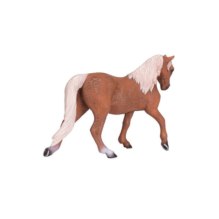 Mojo Kůň morgan palomino
