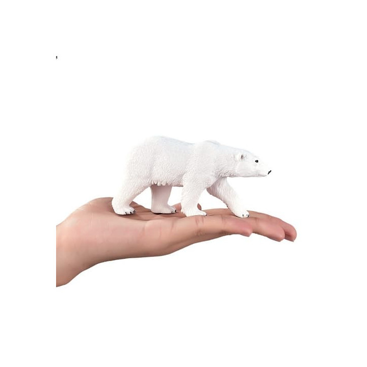 Mojo Medvěd lední