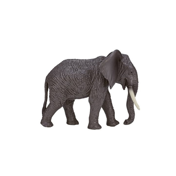 Mojo Slon africký