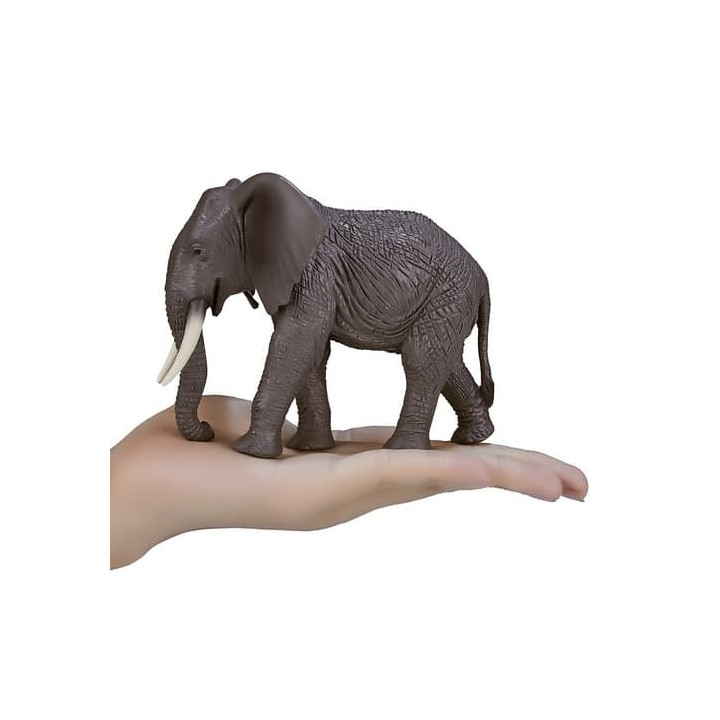 Mojo Slon africký