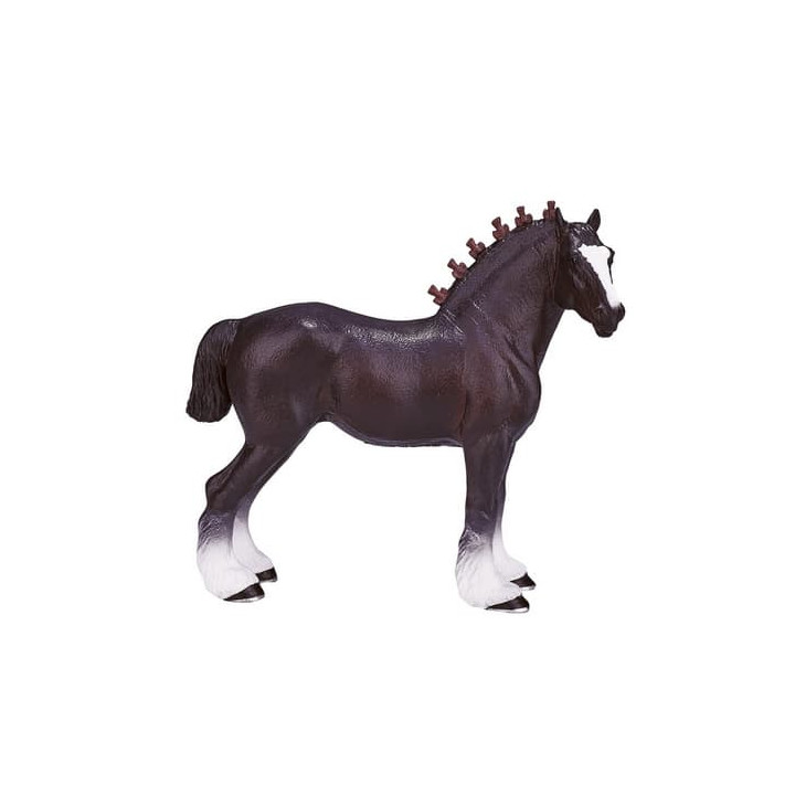 Mojo Shirský kůň