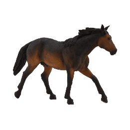 Mojo Quarter horse hnědák