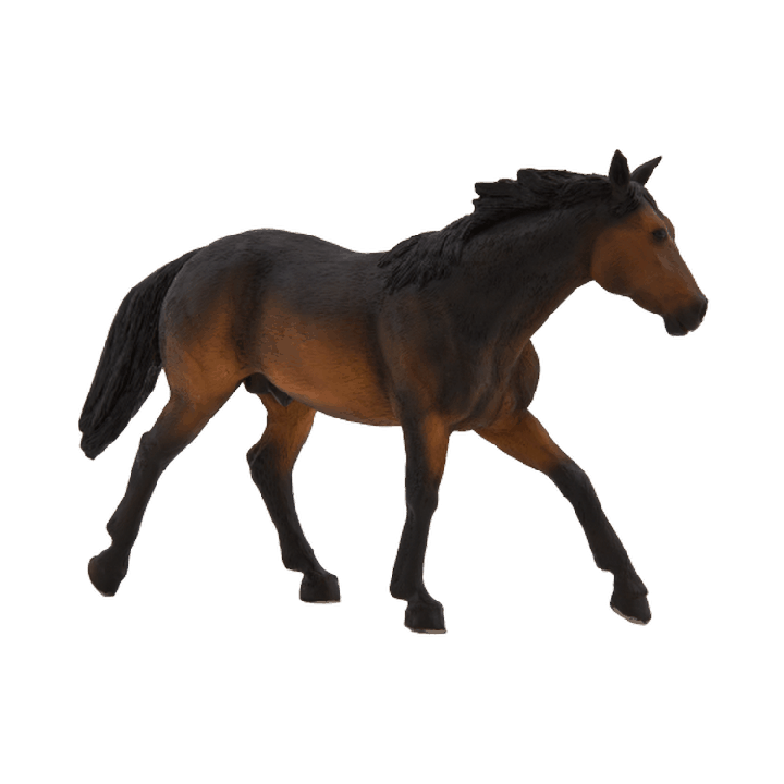 Mojo Quarter horse hnědák