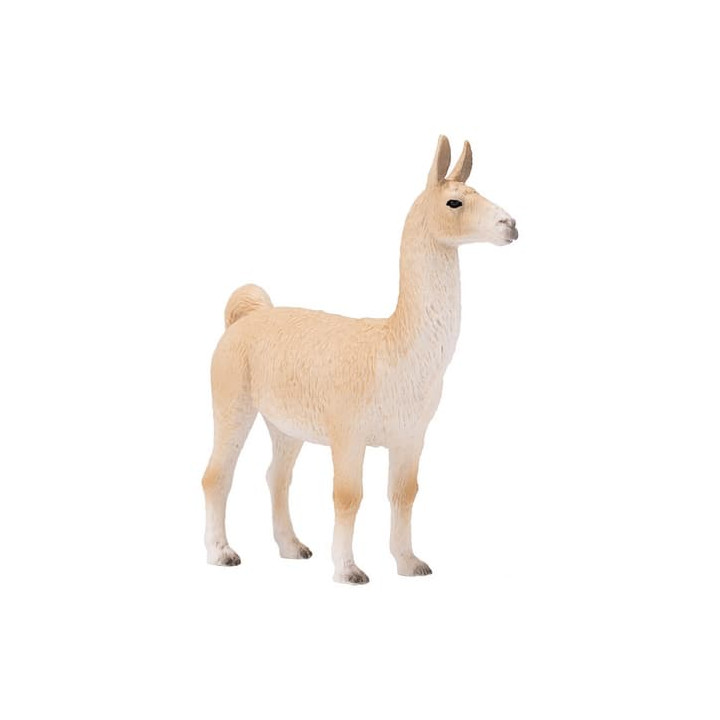 Mojo Lama