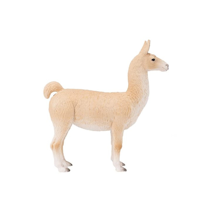 Mojo Lama