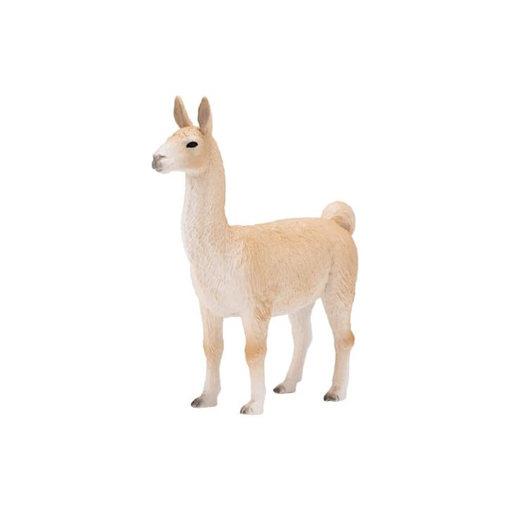 Mojo Lama