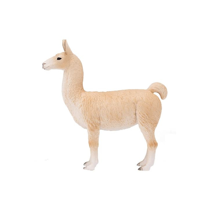 Mojo Lama