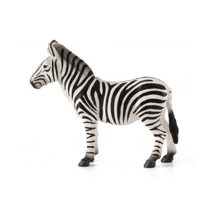Mojo Zebra
