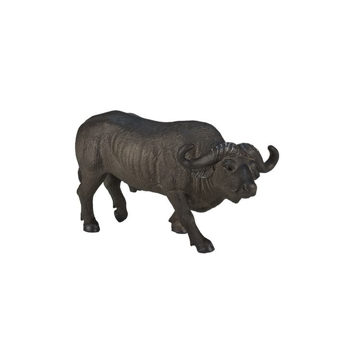 Mojo Buvol africký