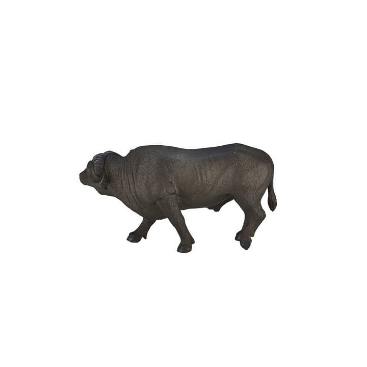 Mojo Buvol africký