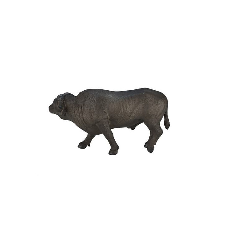 Mojo Buvol africký