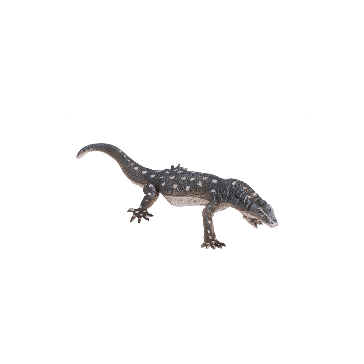 Mojo Varan obrovský
