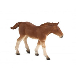 Mojo Suffolk Punch hříbě