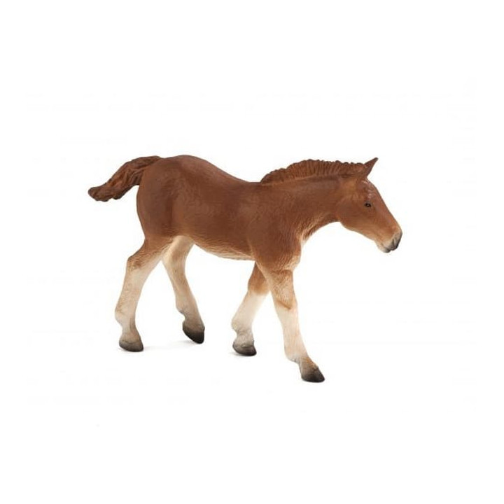 Mojo Suffolk Punch hříbě