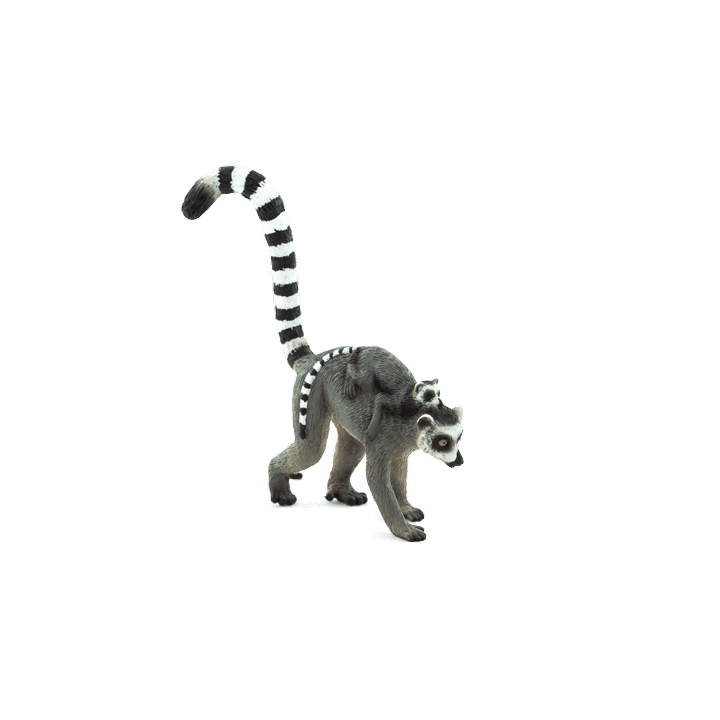 Mojo Lemur kata s mládětem